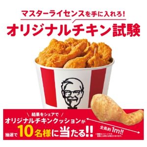 オリジナルチキンクッション