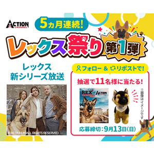 大人気レックスぬいぐるみ　等