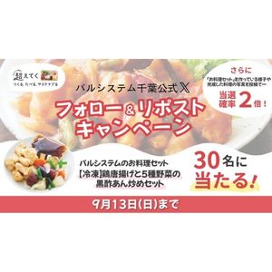 冷凍 鶏唐揚げと5種野菜の黒酢あん炒めセット