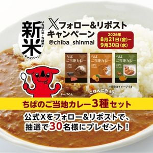 ちばのご当地カレー 3種セット