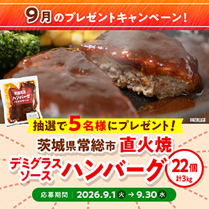 直火焼 デミグラスソース ハンバーグ