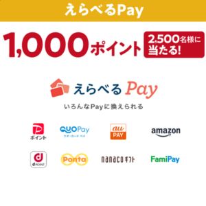 えらべるPay 1,000ポイント分