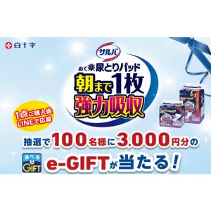 e-GIFT 3,000円分