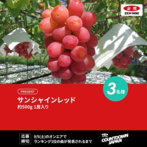 サンシャインレッド(約500g×1房)