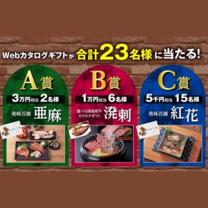 カタログギフト美味百撰3万円相当 他