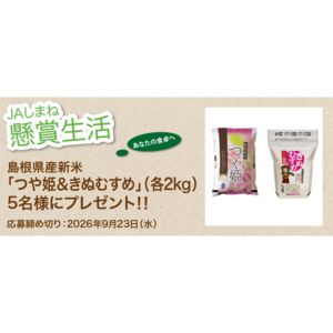 島根県産新米つや姫＆きぬむすめ各2kg