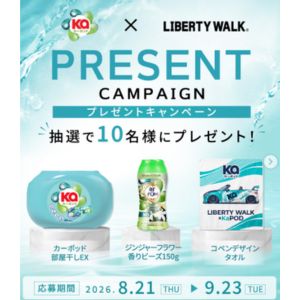 カーポッド部屋干しEX＆ジンジャーフラワー香りビーズ150g等