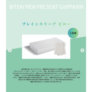 ブレインスリープピロー