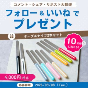 ARCOS テーブルナイフ2本セット