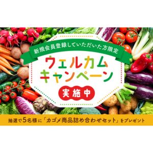 カゴメ商品詰め合わせセット