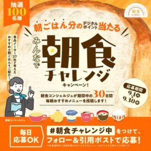 えらべるPay 300円分