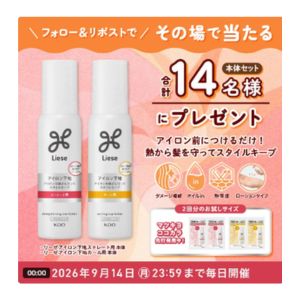 リーゼ アイロン下地セット