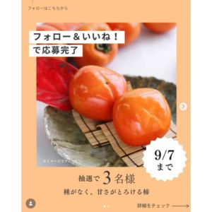 たねなし柿 約3.6kg（M 20玉）