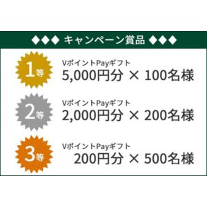 VポイントPayギフト5,000円分 他