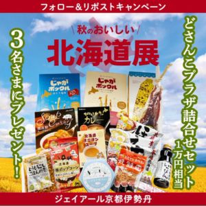 北海道どさんこプラザ詰合せ1万円相当