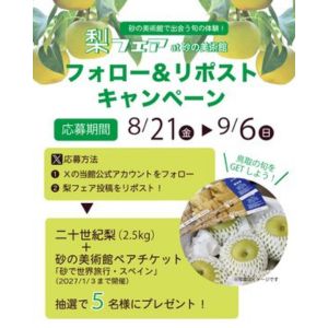 二十世紀梨（2.5kg）＆砂の美術館 ペア招待券 - 無料懸賞 プレゼント