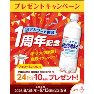 伊賀の天然水 強炭酸水 1ケース