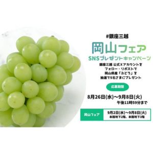 岡山県産ぶどう 1箱