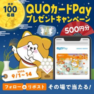 QUOカードPay 500円分