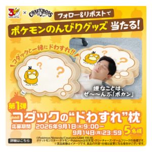 コダックの「ドわすれ」枕