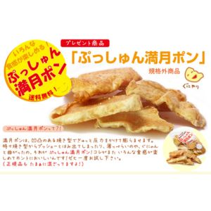 ふぞろい ぷっしゅん満月ポン