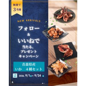 青森県産 いか４種セット