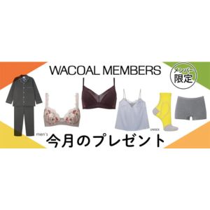 ワコール マシュマロフィットブラ 他