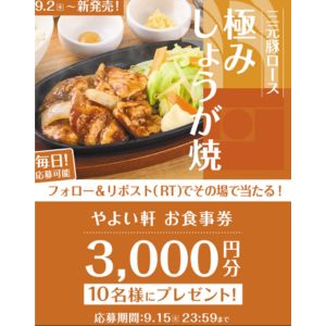やよい軒 お食事券3,000円分