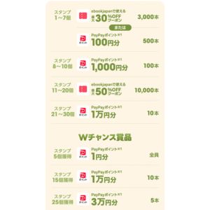 PayPayポイント3万円分 他