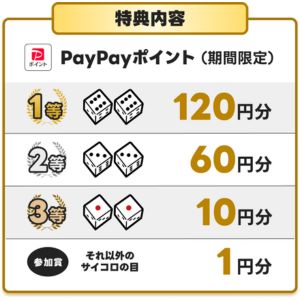 PayPayポイント120円分 他