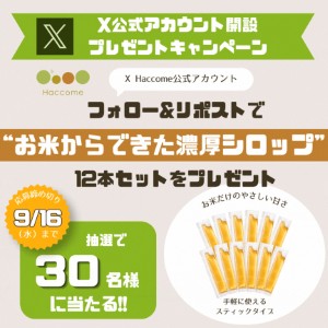 お米からできた濃厚シロップ 12本セット