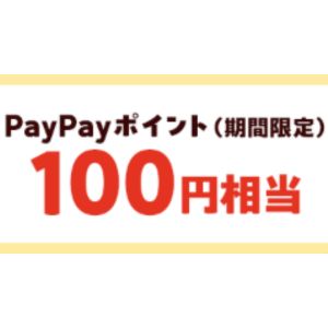 PayPayポイント100円相当