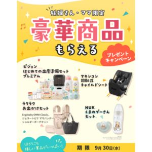 マキシコシ 回転式チャイルドシート 他
