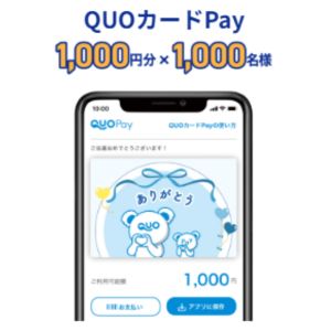 QUOカードPay 1,000円分