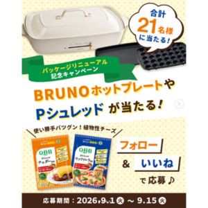 BRUNO ホットプレートグランデサイズ＆チーズ2種
