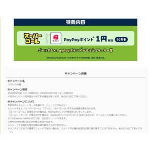 PayPayポイント1円相当