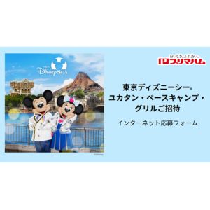 東京ディズニーシー 1デーパスポート他
