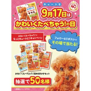 犬用おやつシリーズ　かわいくたべちゃう！詰め合わせセット