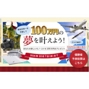 欲しいモノ・コト100万円分 他