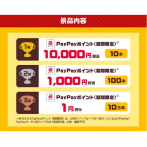 PayPayポイント1万円相当 他