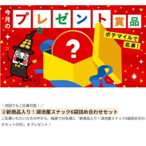新商品入り湖池屋スナック6袋詰め合わせ