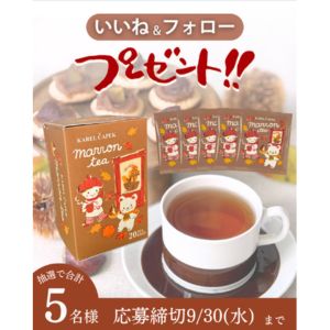 マロンティー デイリー＆オリジナルセット