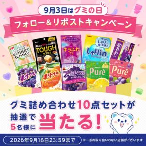 グミ詰め合わせ10点セット