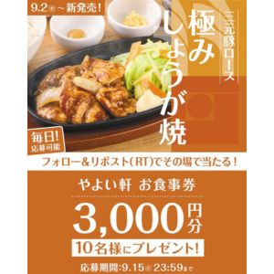 やよい軒 お食事券3,000円分