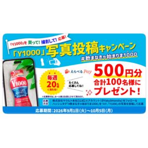 えらべるPay500円分