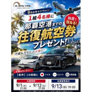 那覇空港までの往復航空券(1組4名様)