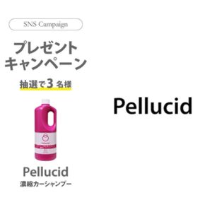 濃縮カーシャンプーPCD-109