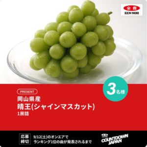 岡山県産 晴王(シャインマスカット)