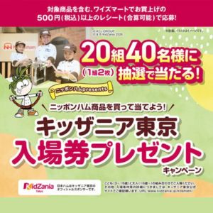 キッザニア東京 入場券