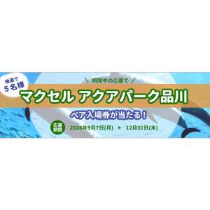 マクセル アクアパーク品川 ペア入場券